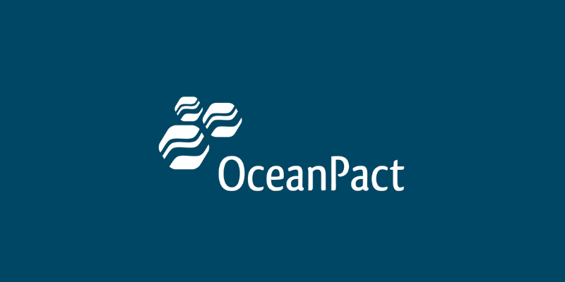 Os Melhores Investimentos - Ações da Oceanpact